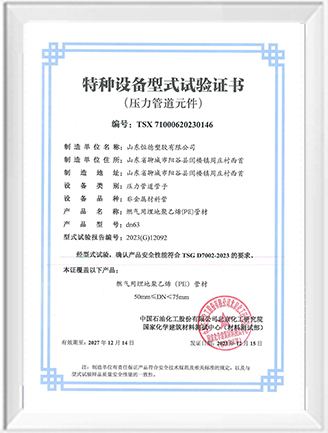 dn63-特种设备型式试验证书