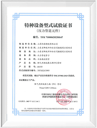 dn110-特种设备型式试验证书