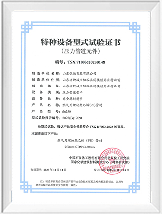 dn250-特种设备型式试验证书